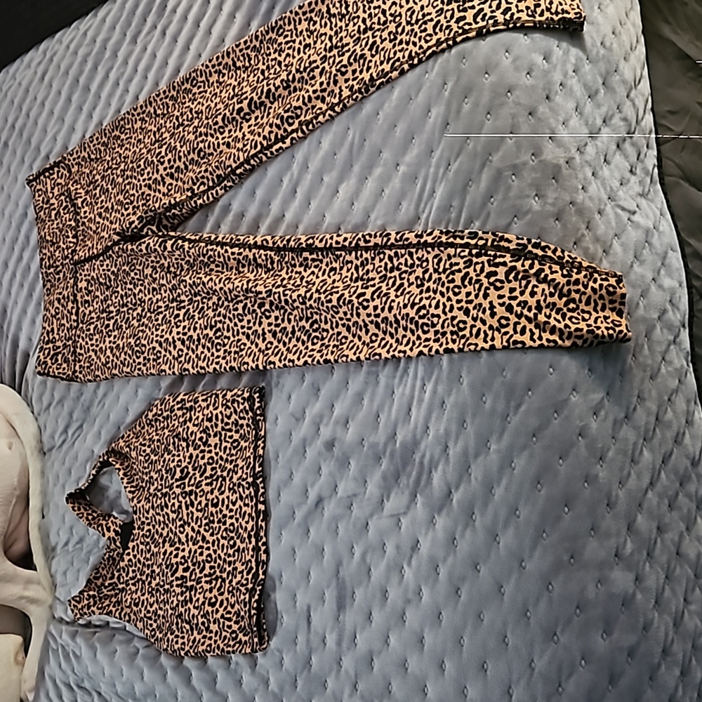 Leopard sports bra and legging set